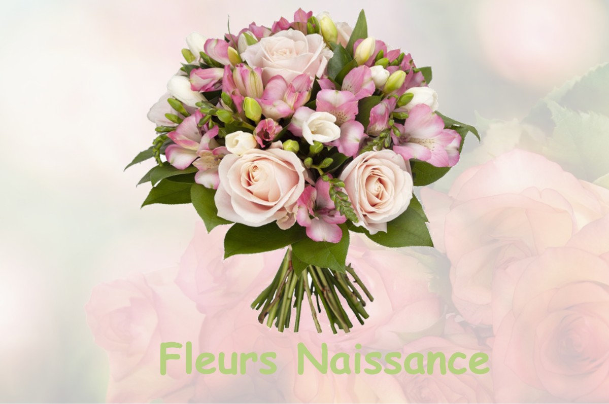 fleurs naissance DELUT