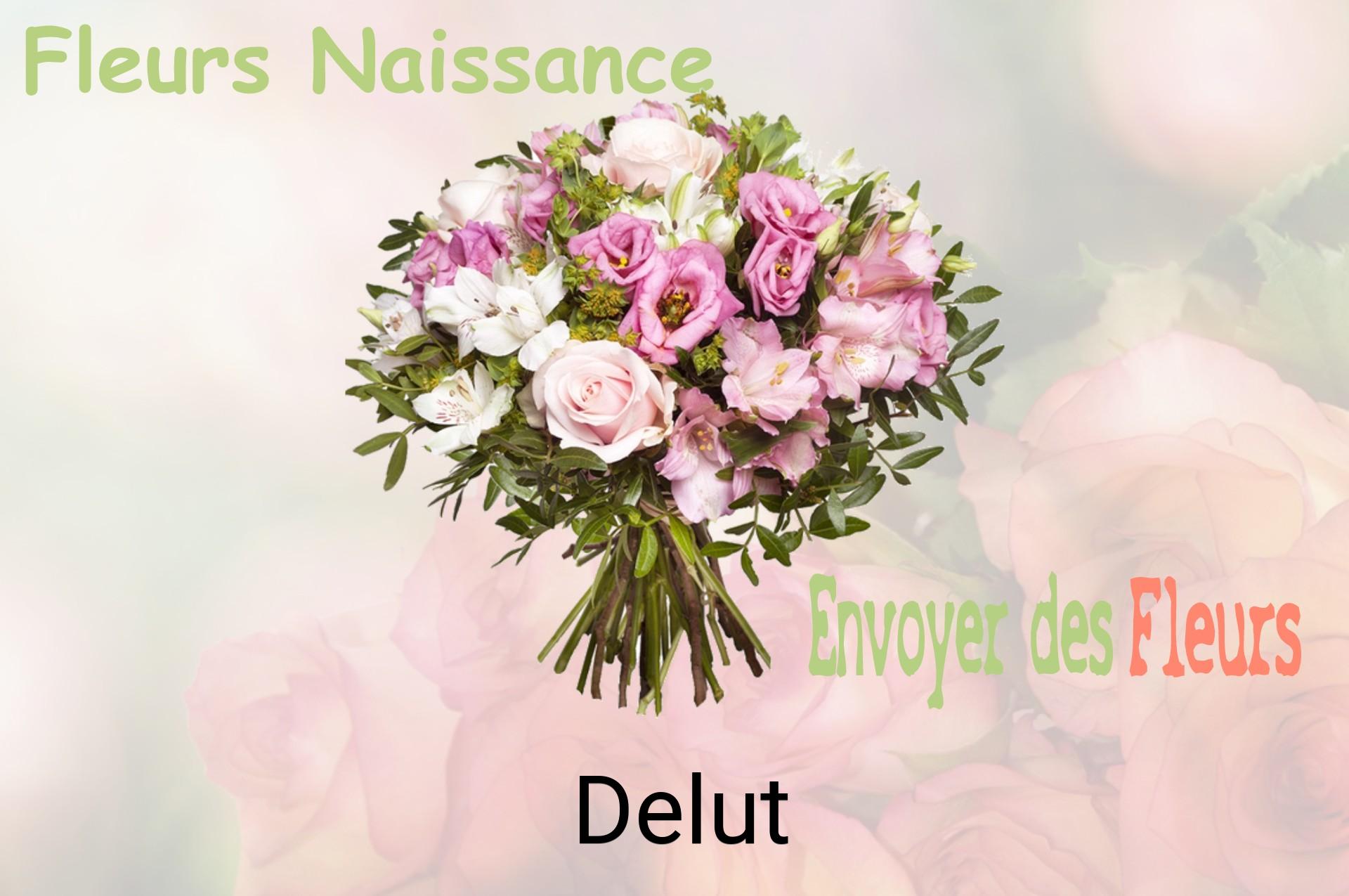 Bouquet de fleurs de naissance livré à Delut