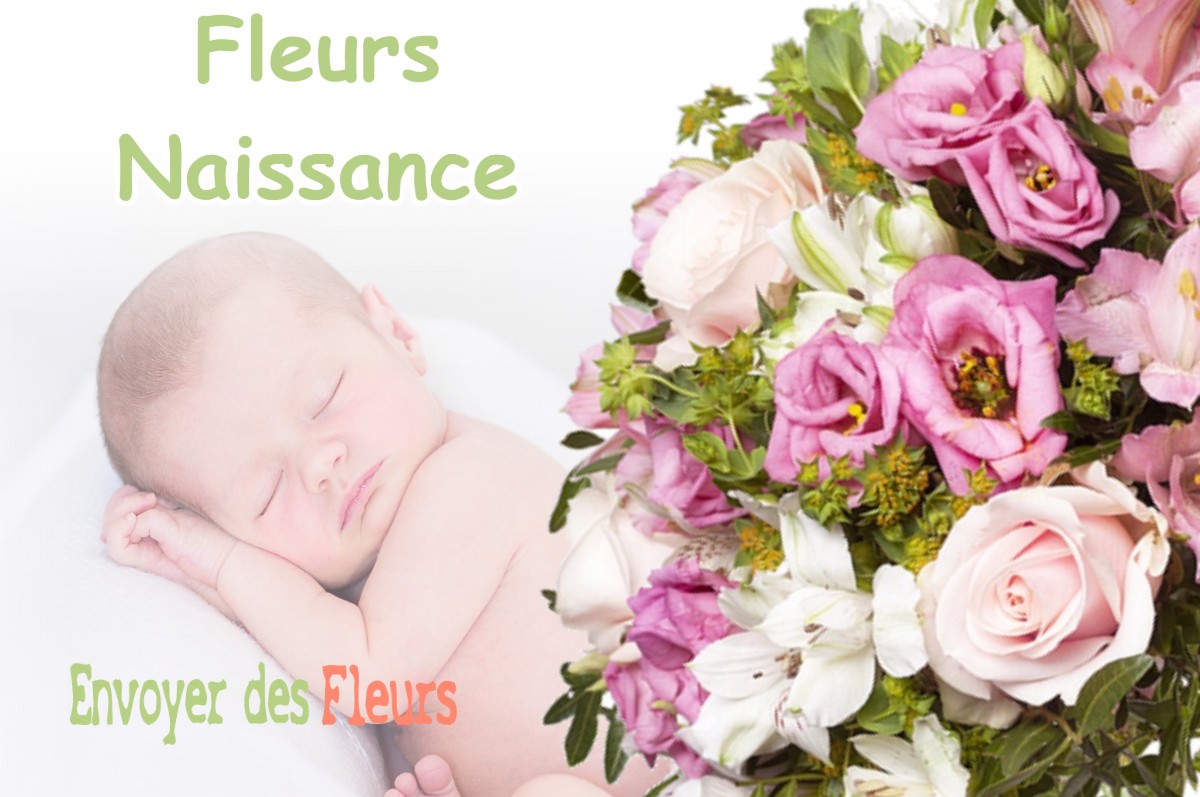 lIVRAISON FLEURS NAISSANCE à DELUT